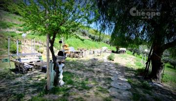 /images/gallery/thumbs/16Tenuta Ornella_360x207.JPG